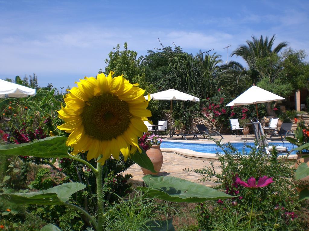 Agroturismo Na Set Centes - Adults Only Artá Exterior foto